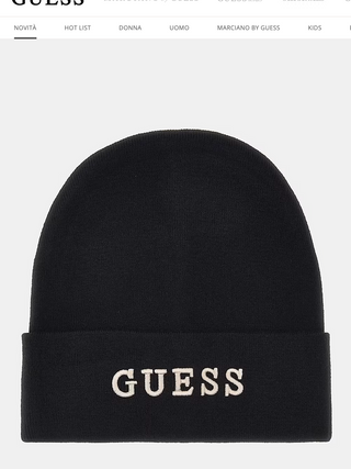 Guess Hat
