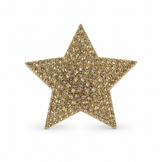 OFF#DLY Star Pin Magnet gold